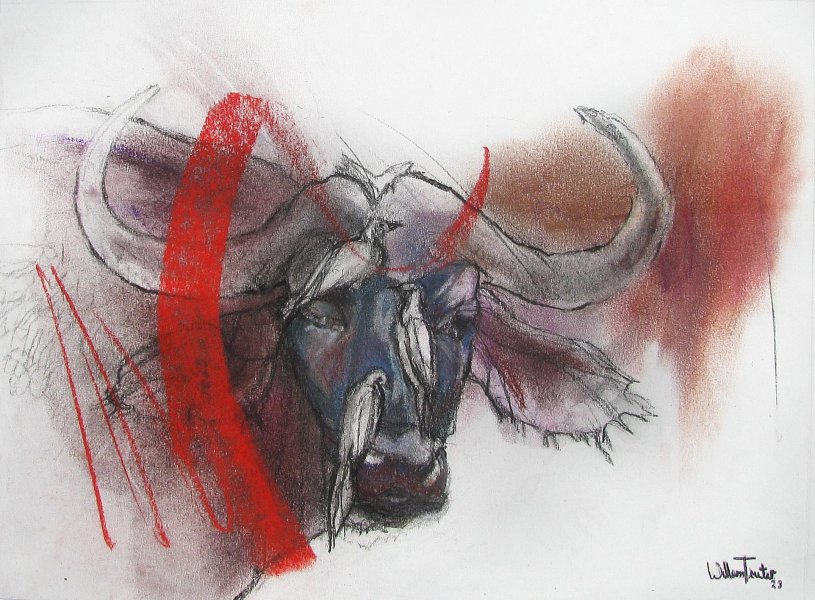 Willem Truter - Occasional habitat